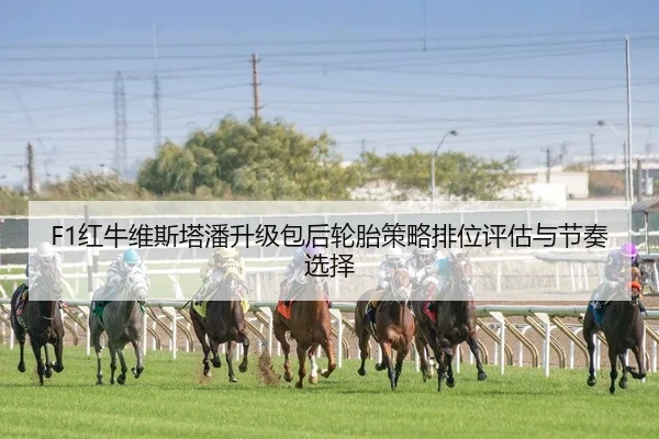 F1红牛维斯塔潘升级包后轮胎策略排位评估与节奏选择